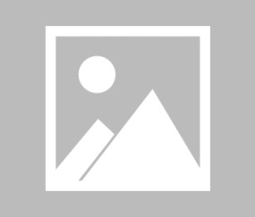 FB体育app- 黑马球队核心重伤赛季恐报销  